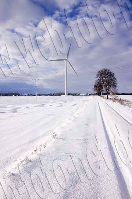 Winterliches Feld mit Windmühle